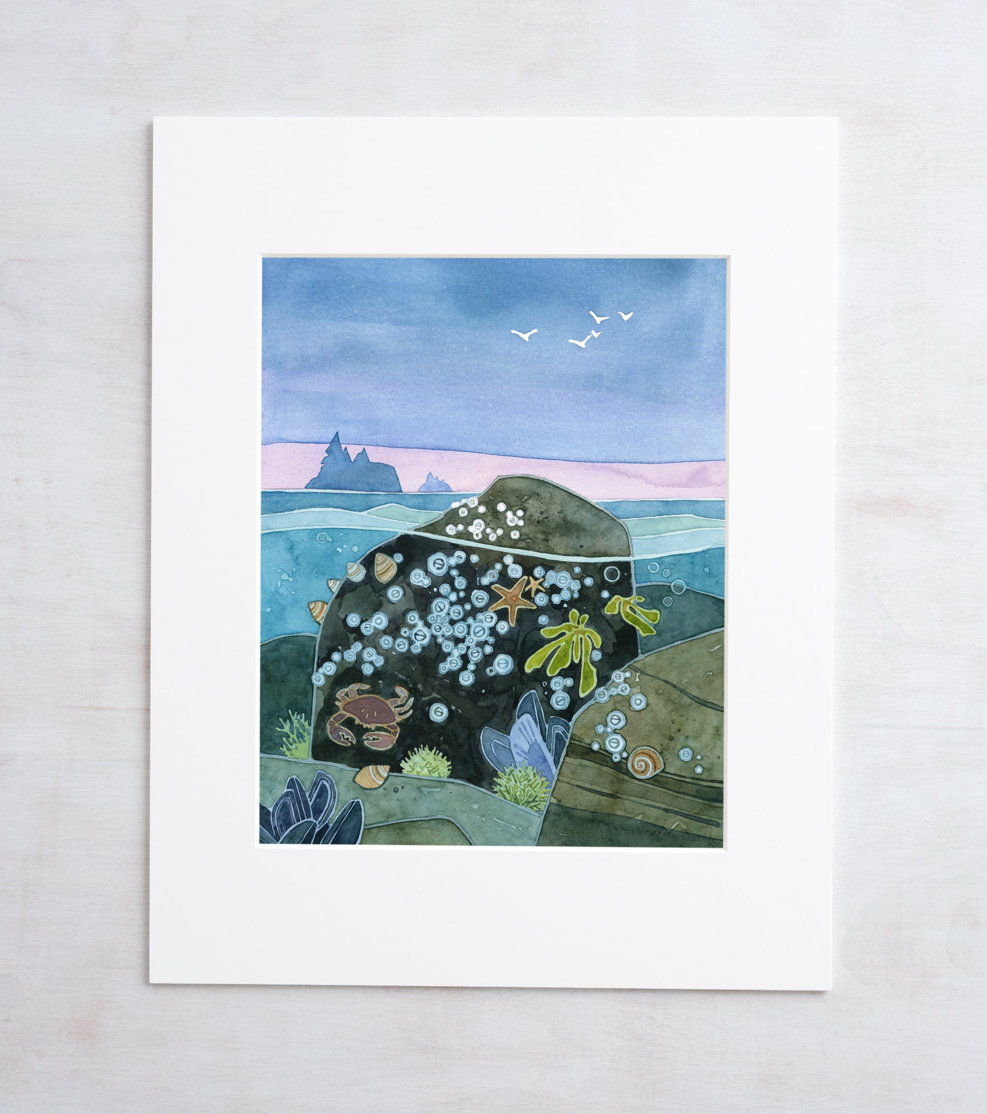 Tidepool Art Print