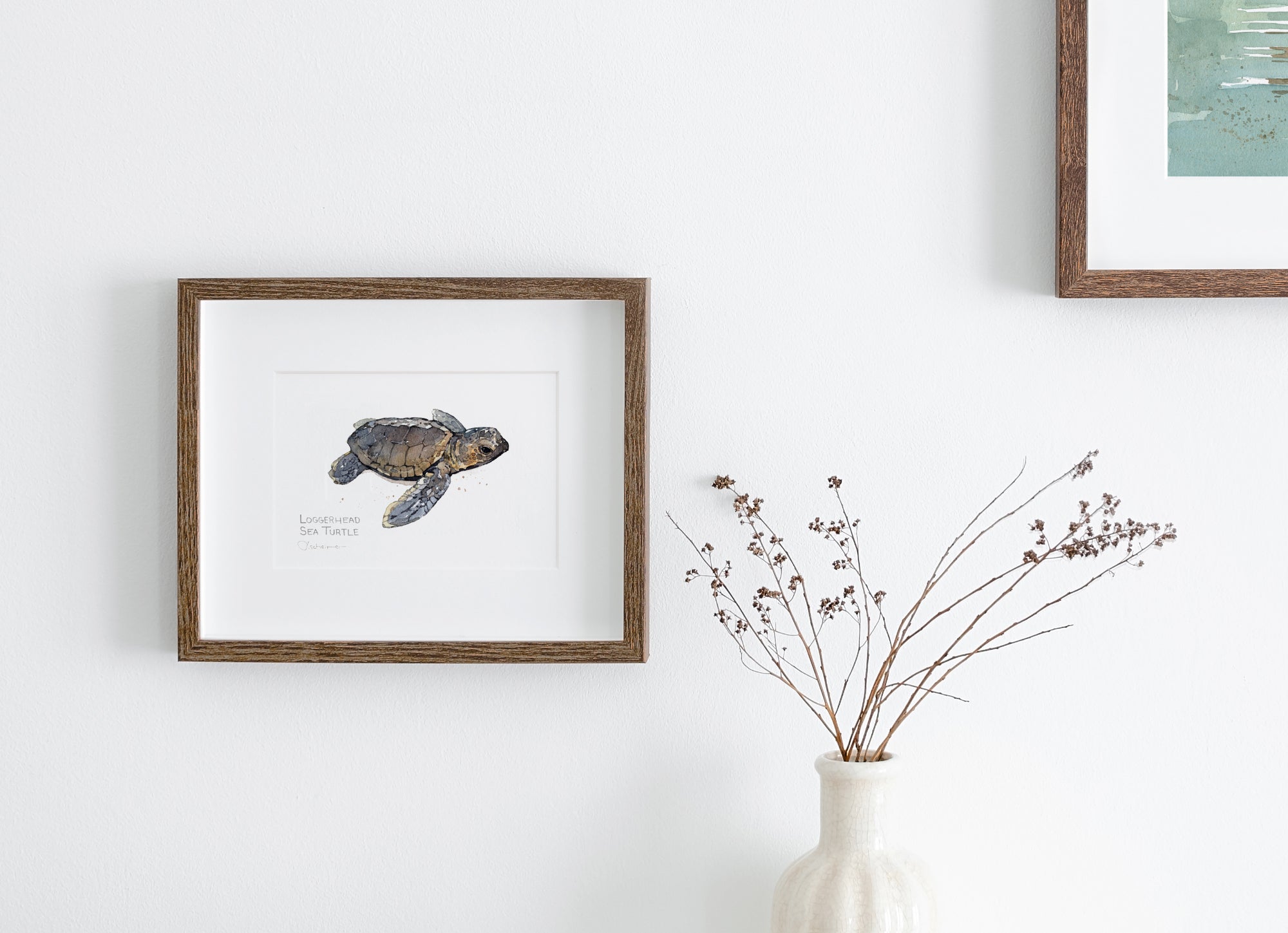 Baby Loggerhead Sea Turtle Watercolor Print