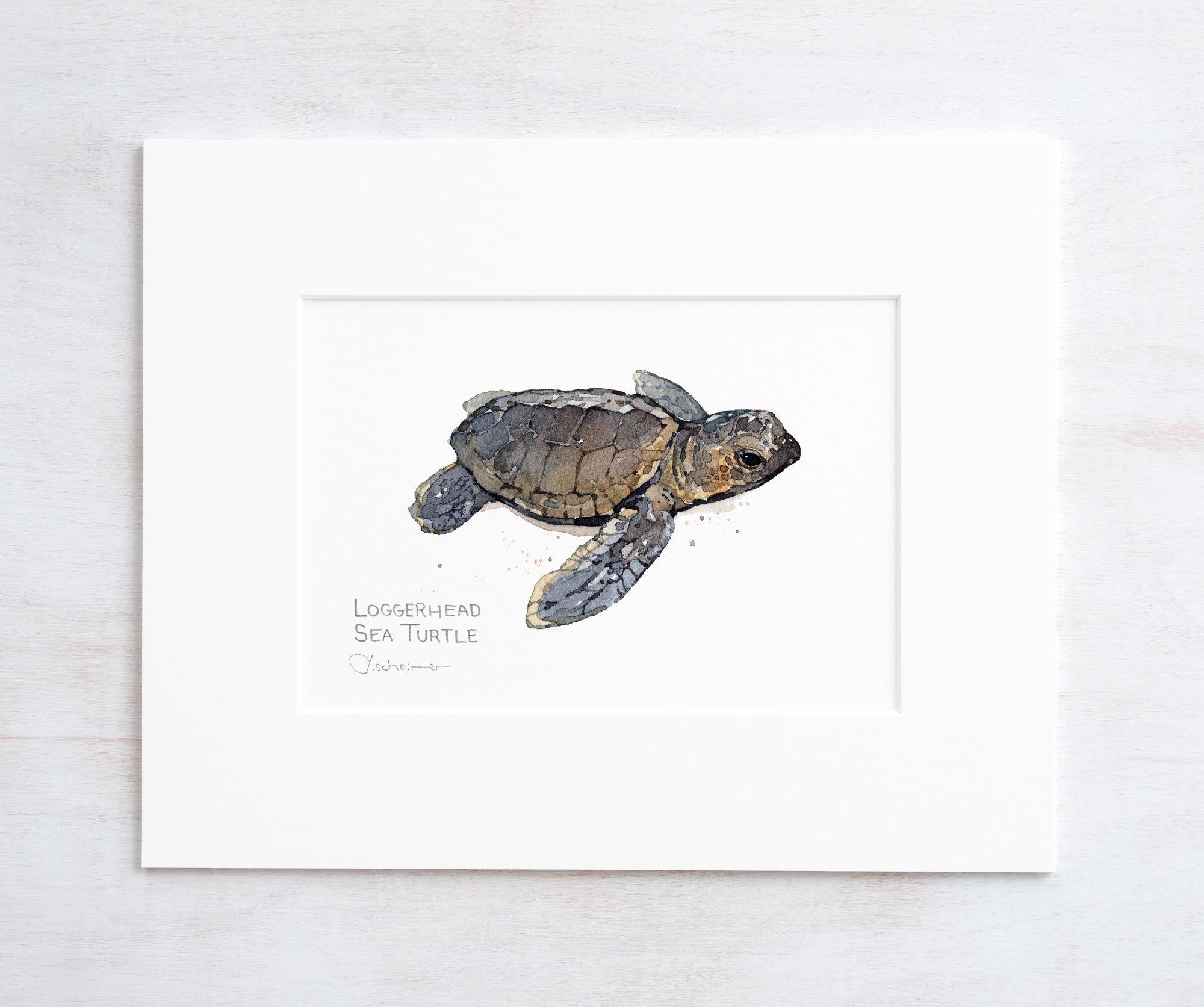 Baby Loggerhead Sea Turtle Watercolor Print