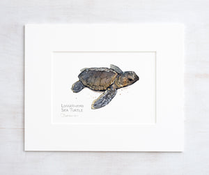 Baby Loggerhead Sea Turtle Watercolor Print