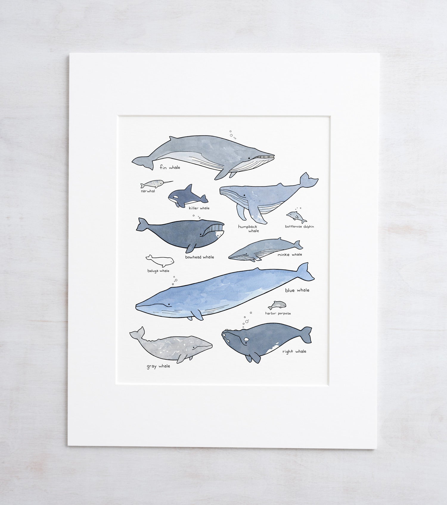 Whale Chart Art Print