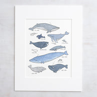 Whale Chart Art Print