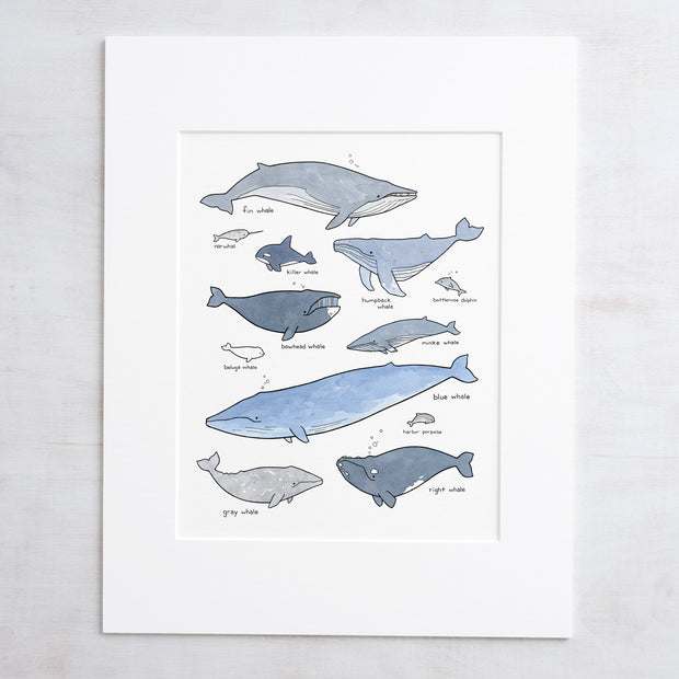 Whale Chart Art Print