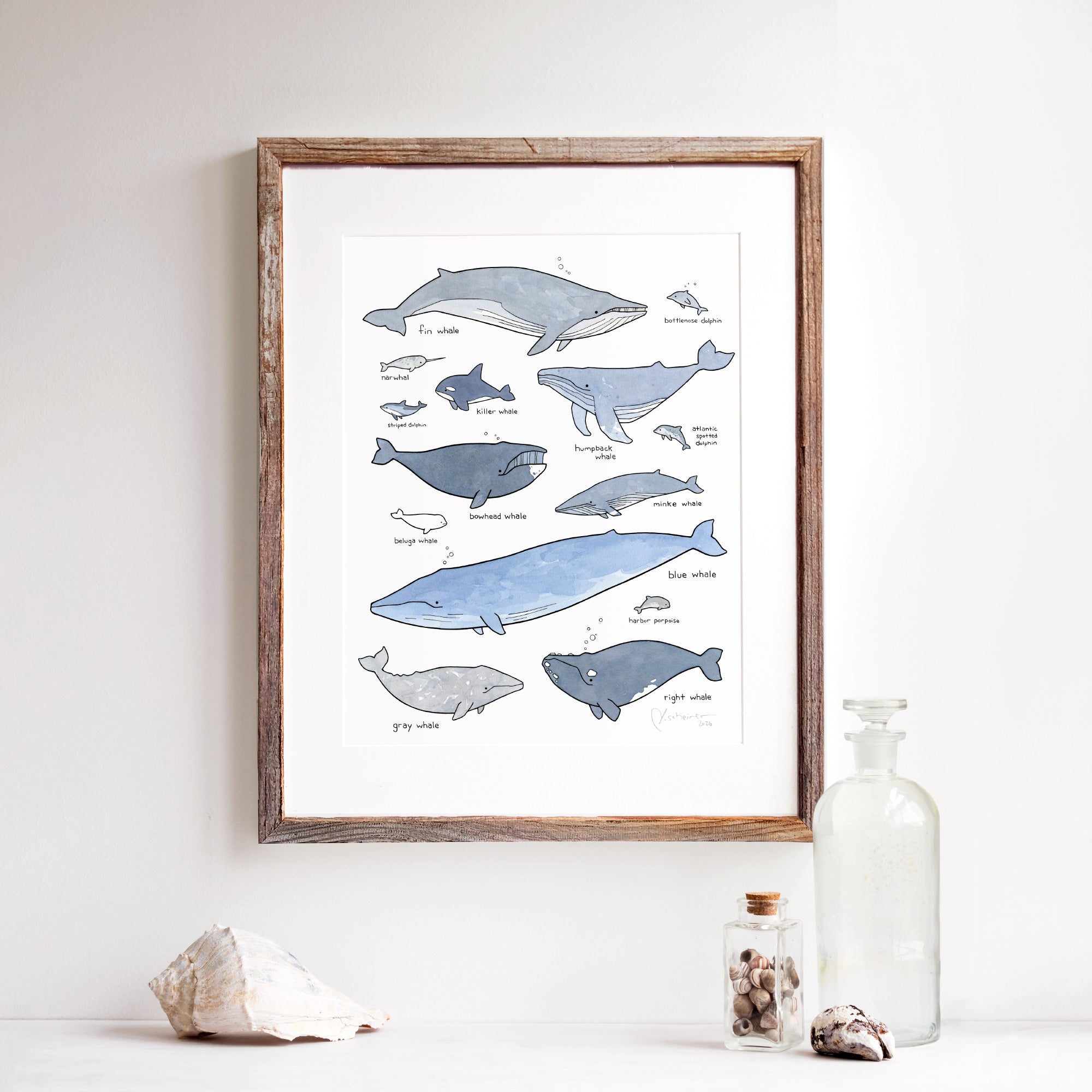 Whale Chart Art Print