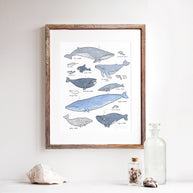 Whale Chart Art Print