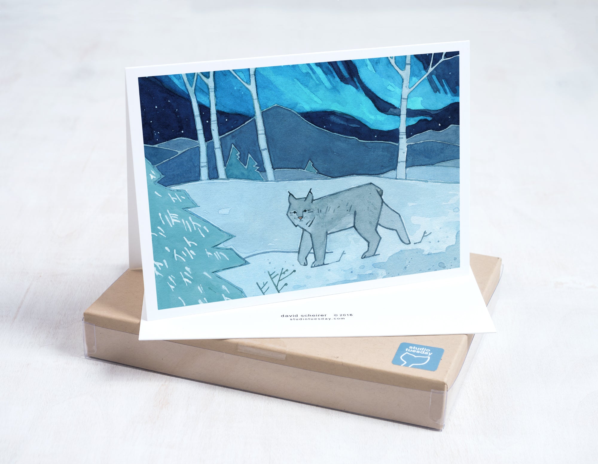 Northern Lights Christmas Card Set 2, Animal Holiday Cards