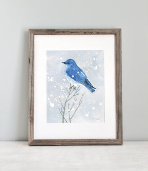 Mountain Bluebird in Snow Print, Winter Watercolor Bird Painting