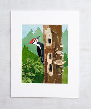 Pileated Woodpecker Art Print, Forest Bird Watercolor