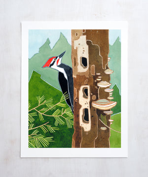 Pileated Woodpecker Art Print, Forest Bird Watercolor