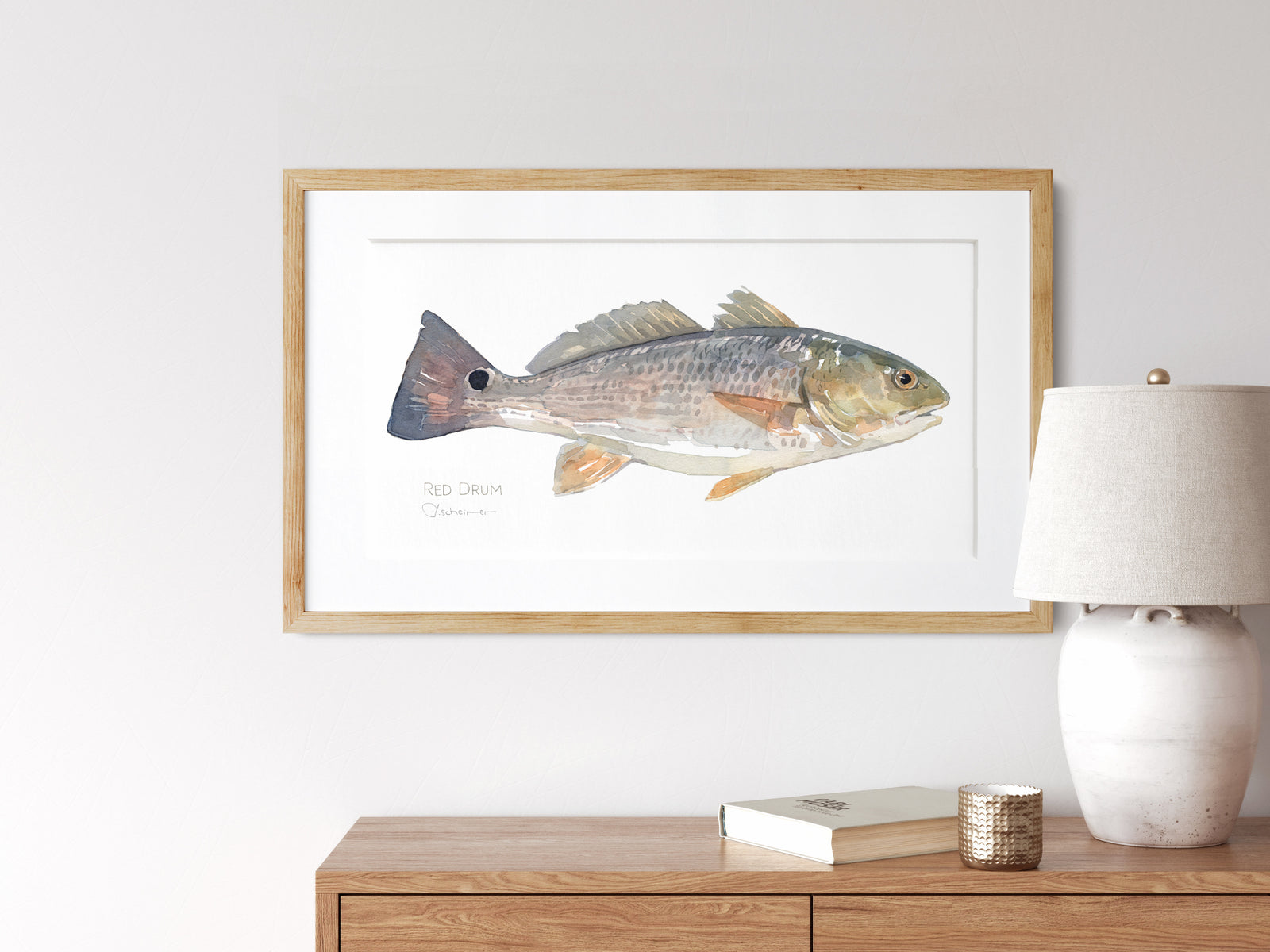 Red Drum Art Print, Puppy Drum Fish Watercolor Painting, Coastal Decor