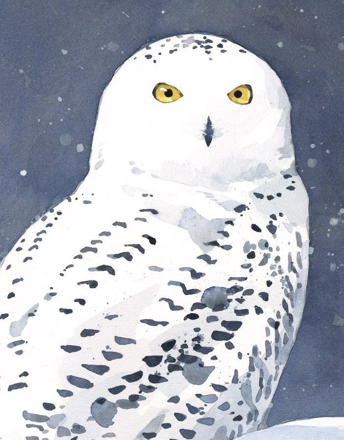 Snowy Owl Watercolor, Fine Art Print, Winter Bird Painting