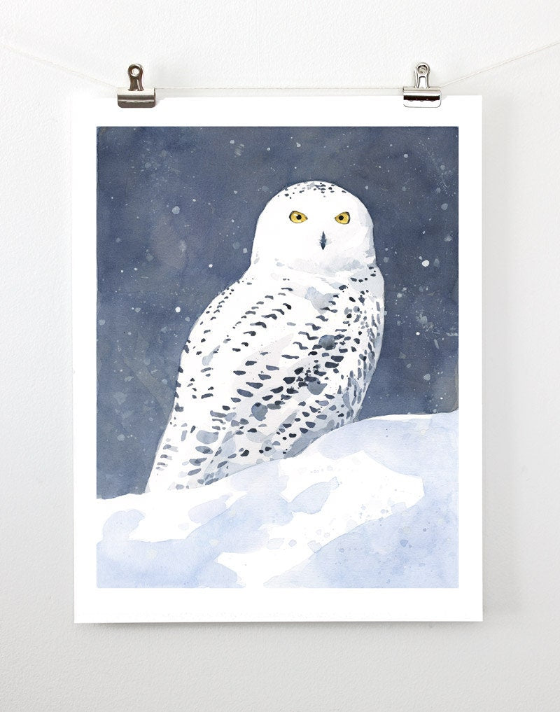 Snowy Owl Watercolor, Fine Art Print, Winter Bird Painting