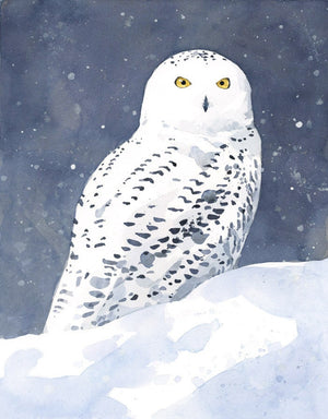 Snowy Owl Christmas Card - Winter Bird Art Note Card