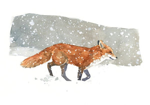 Fox in Snow Christmas Card Set, Winter Watercolor Greeting Cards, Holiday Cards