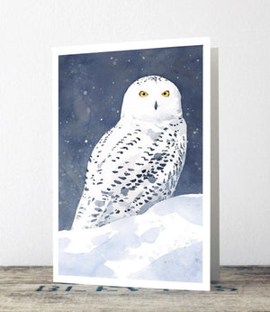 Snowy Owl Christmas Card - Winter Bird Art Note Card