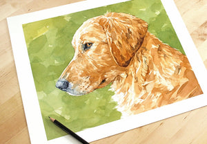 Golden Retriever Dog Print, Watercolor 11x14 Limited Edition Print, Dog Art, Pet Portrait