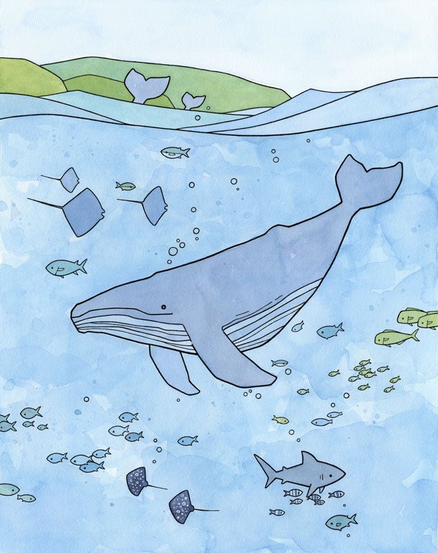 Humpback Whale Print, Tropical Ocean Illustration, Limited Edition Wall Art