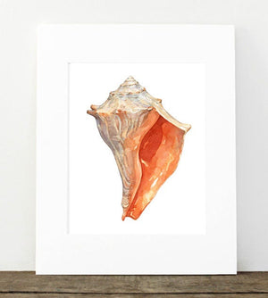 Orange Whelk Shell Watercolor Art Print 8x10, Seashell Beach Decor Seashore Art