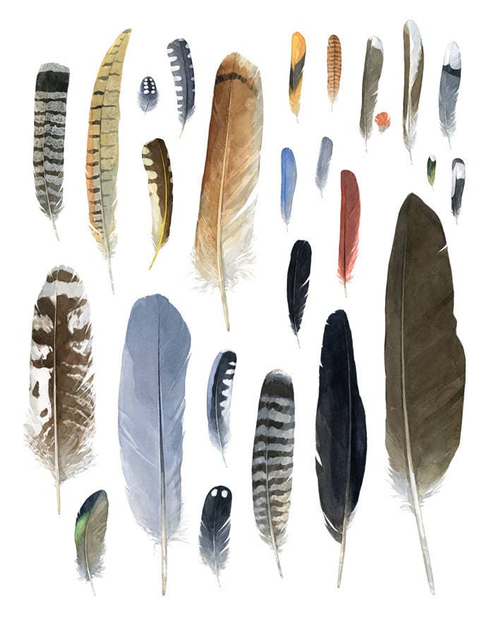 Large feathers Watercolor Print, Rustic Nature Wall Art, Natural History Art