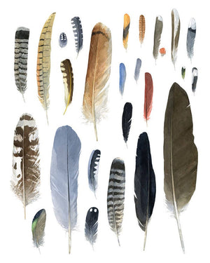 Large feathers Watercolor Print, Rustic Nature Wall Art, Natural History Art