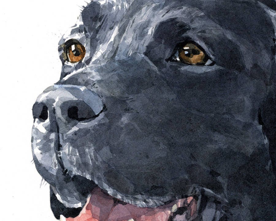 Black Lab Dog Art Print, Labrador Retriever Watercolor Painting, 8x10 Limited Edition