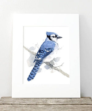 Blue Jay Print, Bird Watercolor Painting, Audubon Print