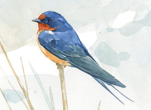 Rustic Bird Art, Barn Swallow Print, Watercolor Painting, 5x7