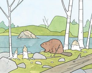 Beaver Illustration Art Print, Nature Nursery Wall Art, Woodland Decor
