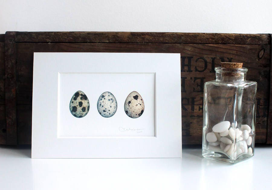 Quail Eggs Watercolor Art Print, Modern Farmhouse Wall Art, Rustic Decor