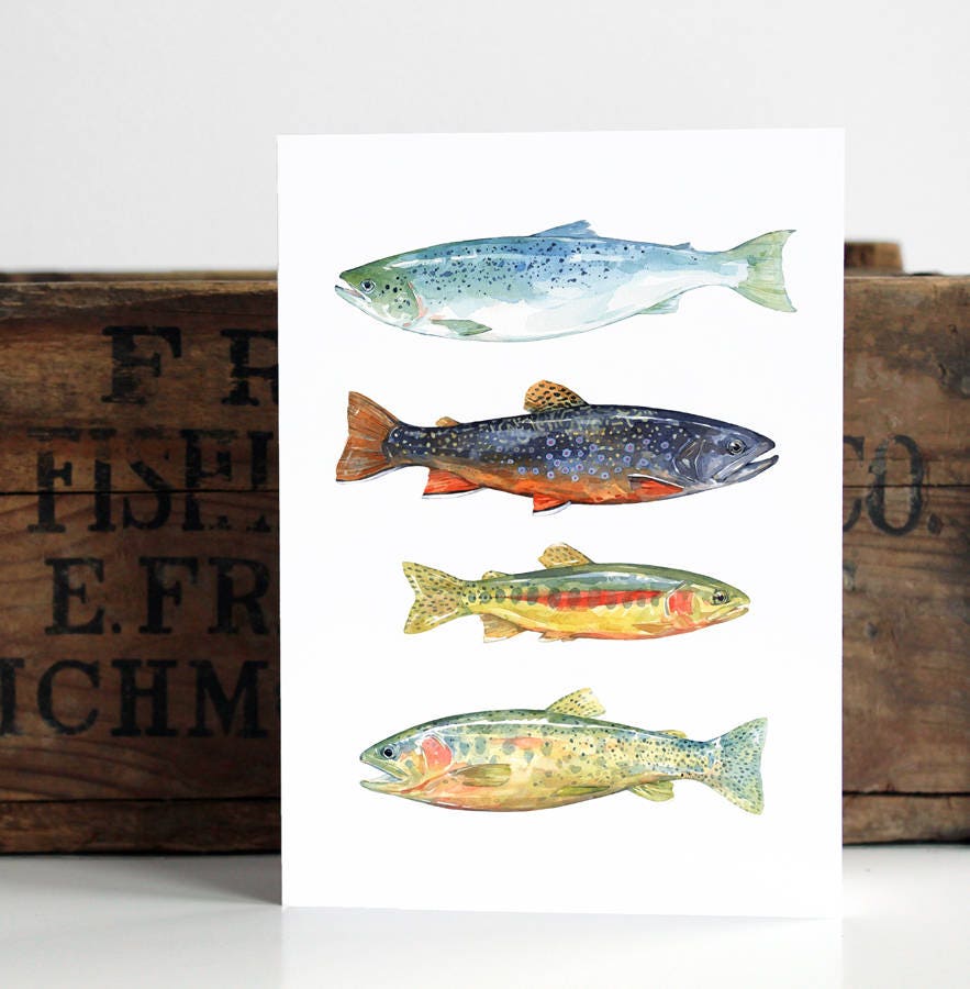 Fish Watercolor Art Card, Fathers Day Card, Colorful Trout and Fly