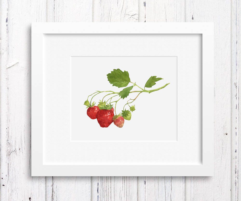 Strawberry Botanical Watercolor Print, Kitchen Decor