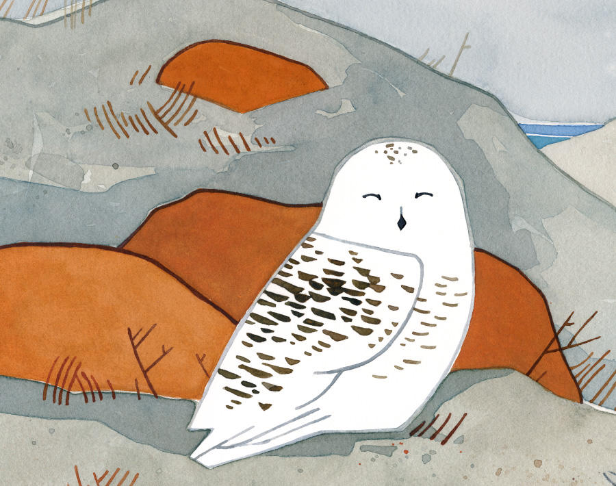 Snowy Owl Beach Watercolor Print, Winter Seashore Art Print