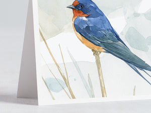 Bird Watercolor Card Set, Mixed Bird Art Stationery Gift