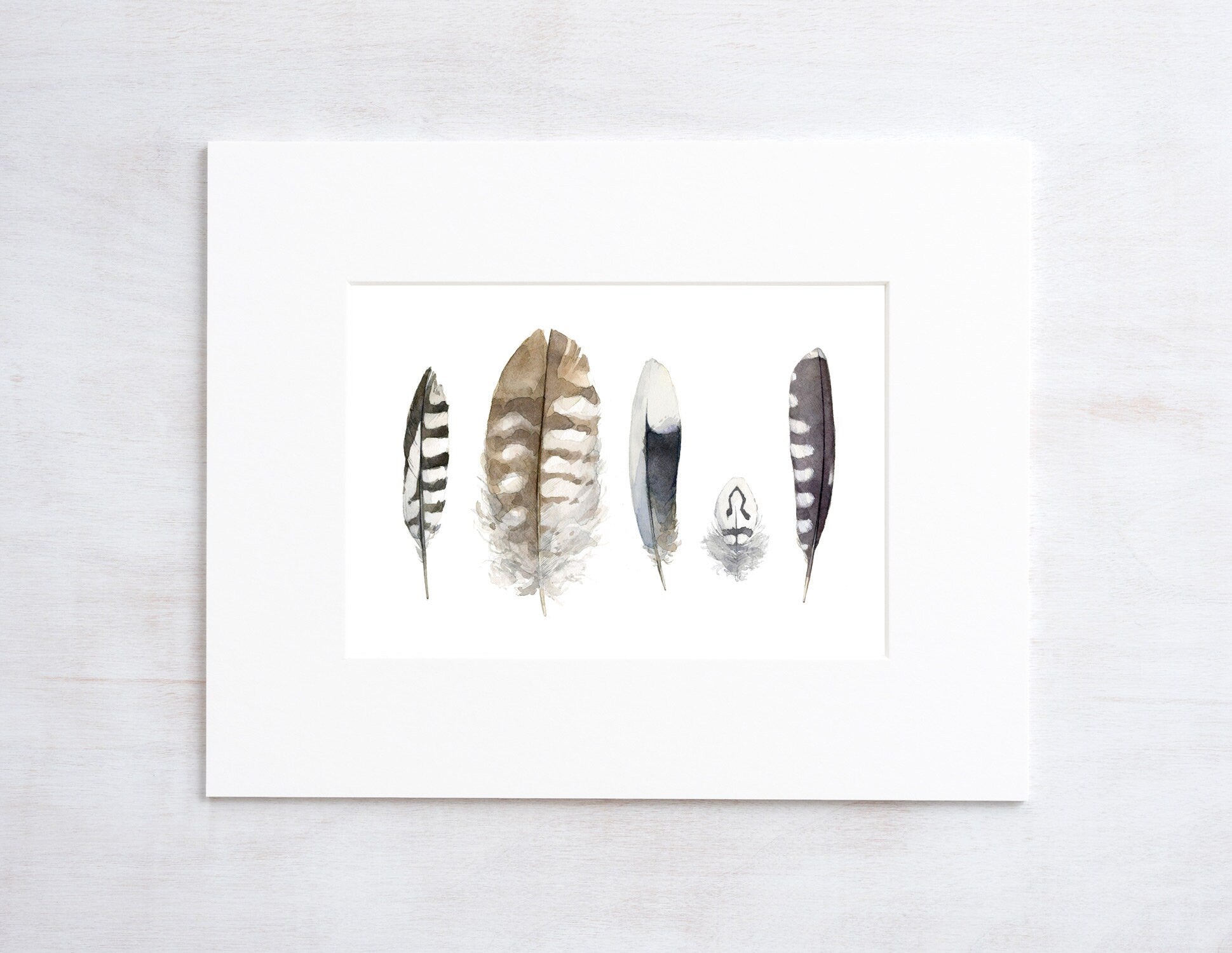 Striped Feathers Watercolor Painting, Backyard Bird Art