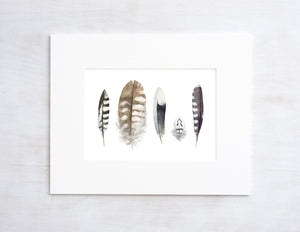 Striped Feathers Watercolor Painting, Backyard Bird Art