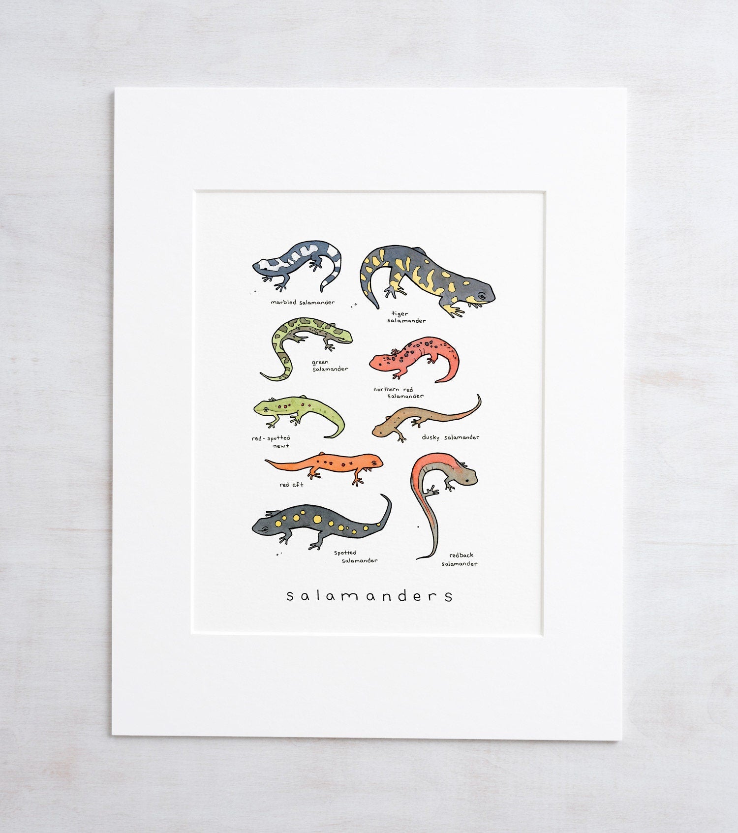 Salamanders Chart Print, Animal Wall Art, Kids Room Wall Decor