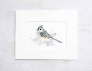 Tufted Titmouse Print, Bird Watercolor Painting, Bird Art
