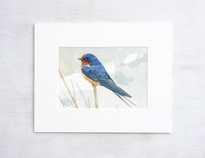 Rustic Bird Art, Barn Swallow Print, Watercolor Painting, 5x7