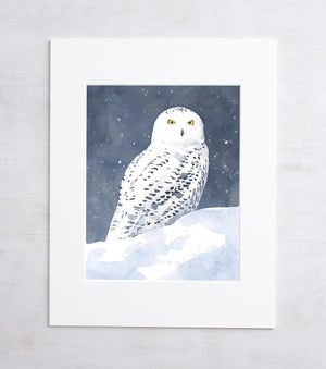 Snowy Owl Watercolor, Fine Art Print, Winter Bird Painting