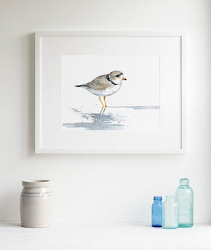 Piping Plover Watercolor Print, Sandpiper Beach Painting