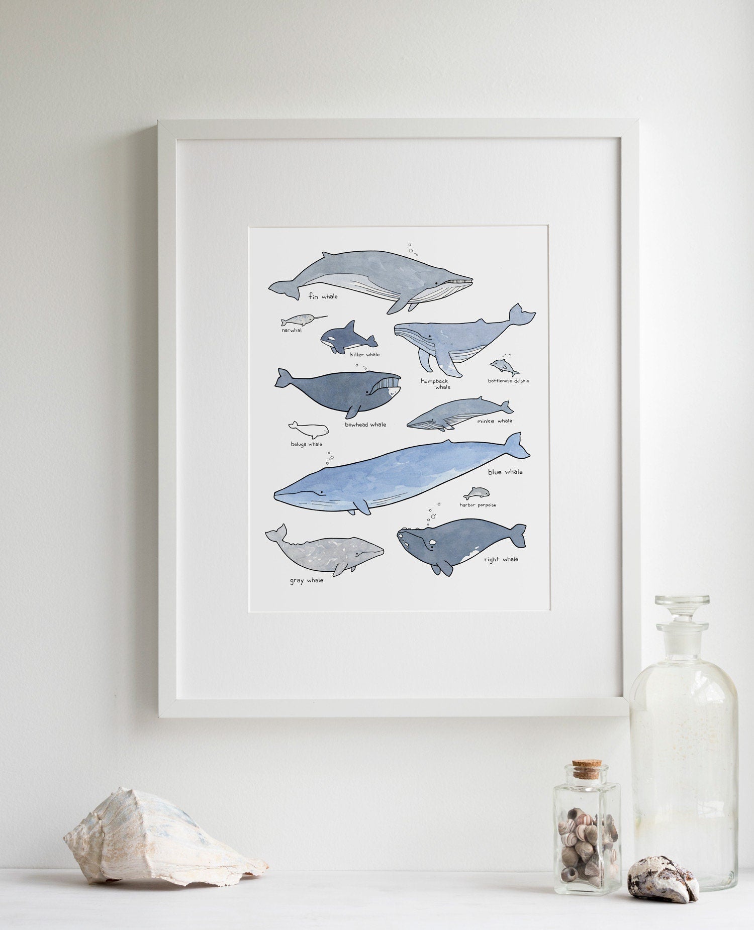 Whale Print, Nautical Nursery Whale Decor Wall Art, Whale Chart Illustration