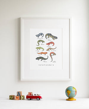 Salamanders Chart Print, Animal Wall Art, Kids Room Wall Decor