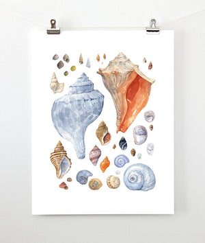 Seashell Painting Coastal Wall Art, Watercolor Shells Print, Beach House Decor