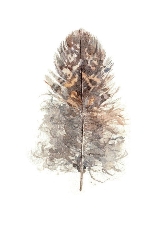 Small Owl Feather Print, Nature Watercolor Painting