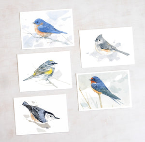 Bird Watercolor Card Set, Mixed Bird Art Stationery Gift