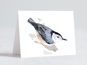 Bird Watercolor Card Set, Mixed Bird Art Stationery Gift