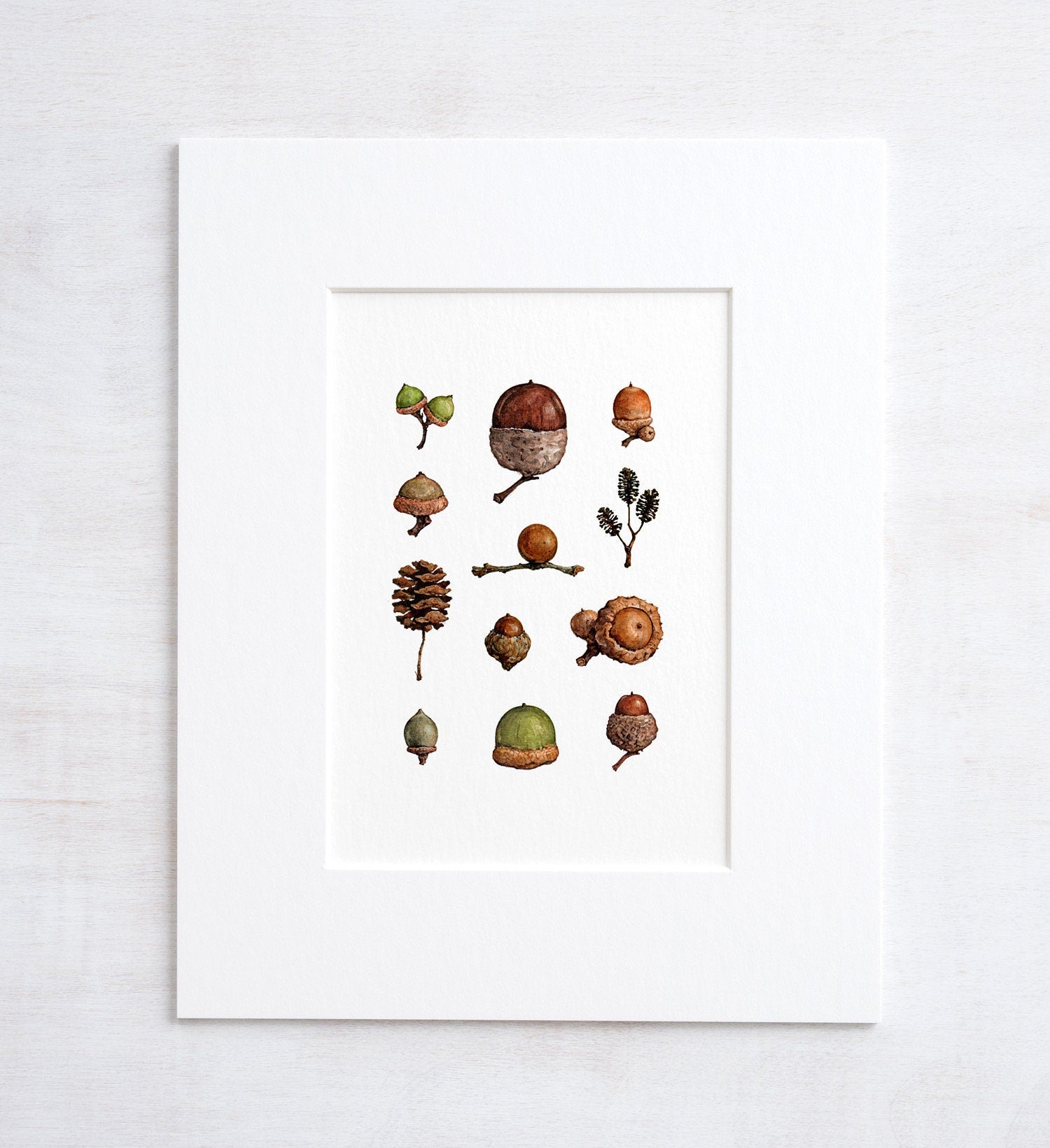 Acorns Art Print, Woodland Nature Watercolor Wall Decor
