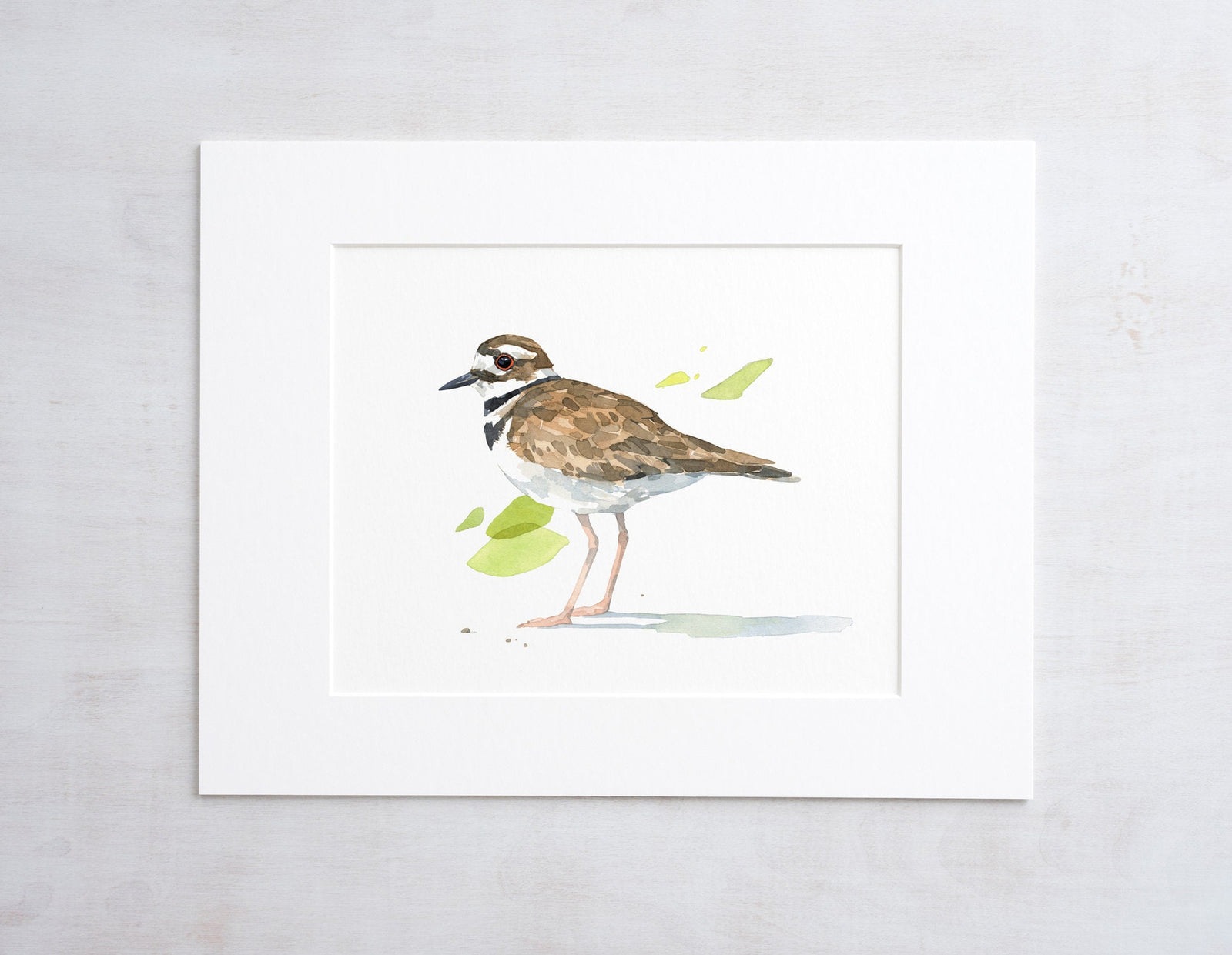Killdeer Watercolor 8x10 Print, Bird Painting, Nature Decor, Audubon Print