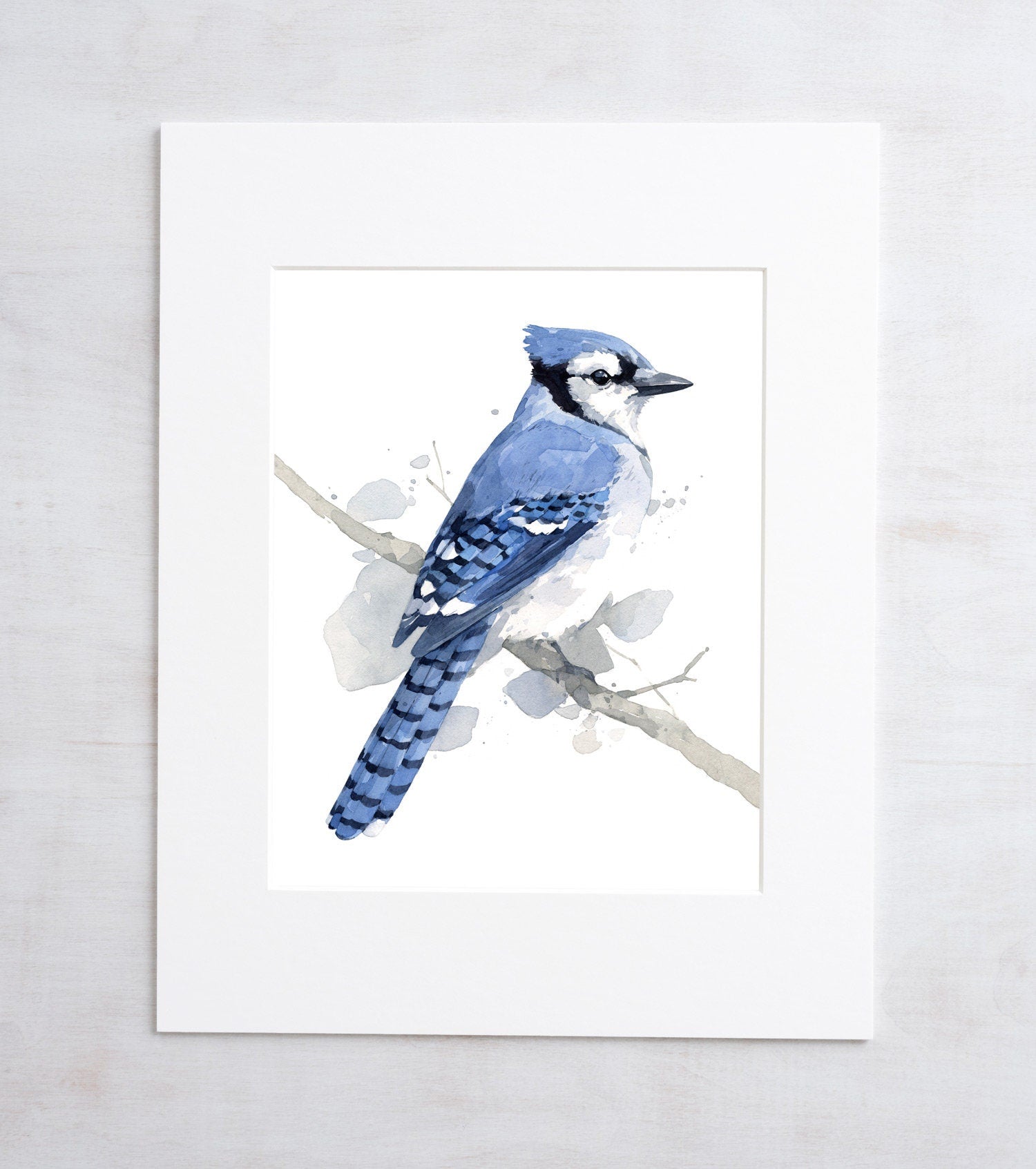 Blue Jay Print, Bird Watercolor Painting, Audubon Print