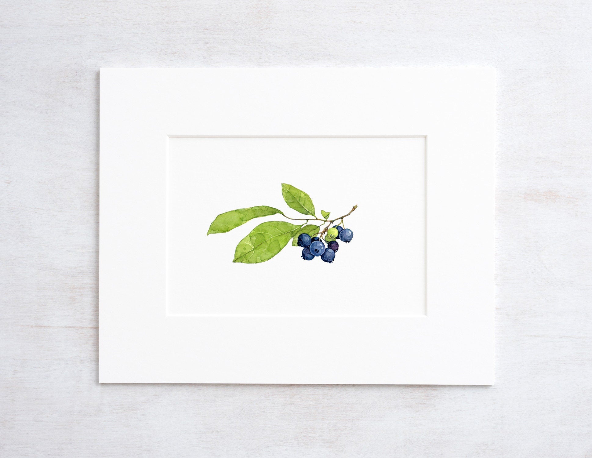 Blueberries Botanical Watercolor Print, Botanical Watercolor